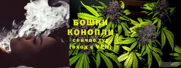 PSILOCYBIN Новокубанск