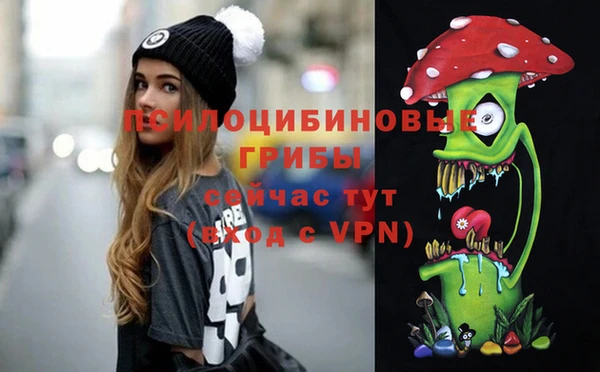 PSILOCYBIN Новокубанск