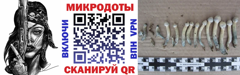 Псилоцибиновые грибы ЛСД  Луза 